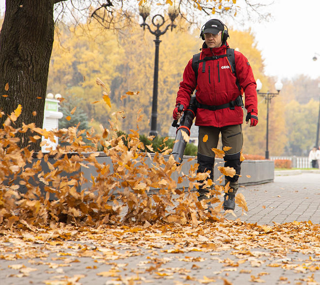 Почему листья нельзя оставлять на газоне?