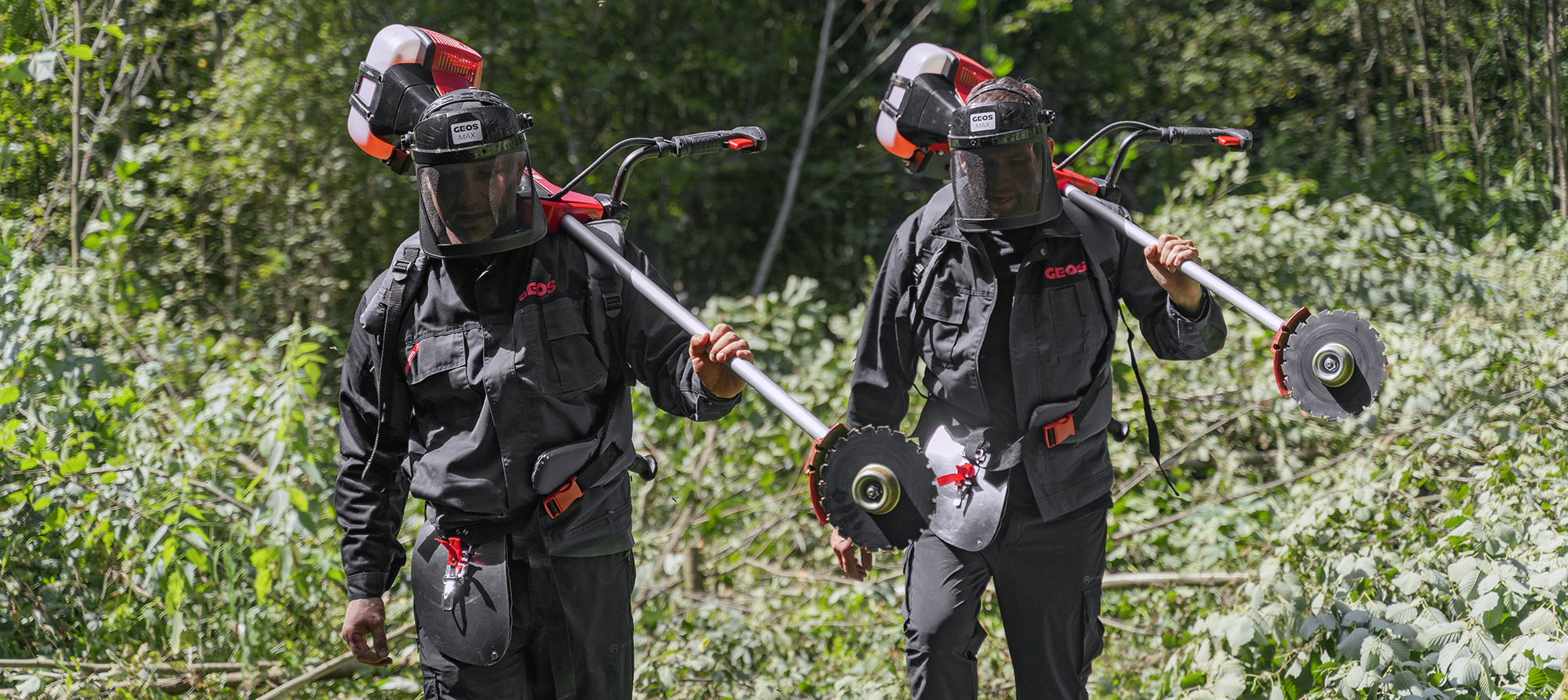 Обзор профессионального кустореза GEOS MAX 251 B Обзор профессионального кустореза GEOS MAX 251 B