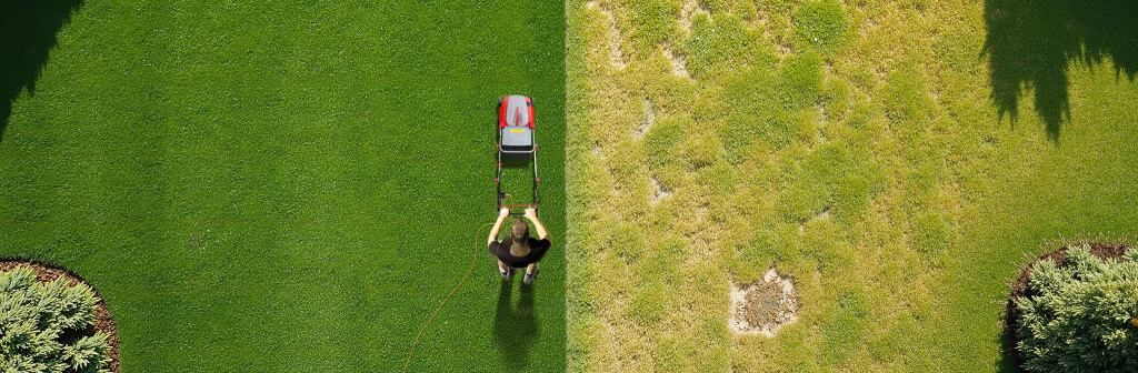 Секрет идеального газона с помощью аэратора: как заставить почву дышать с помощью современных технологий.