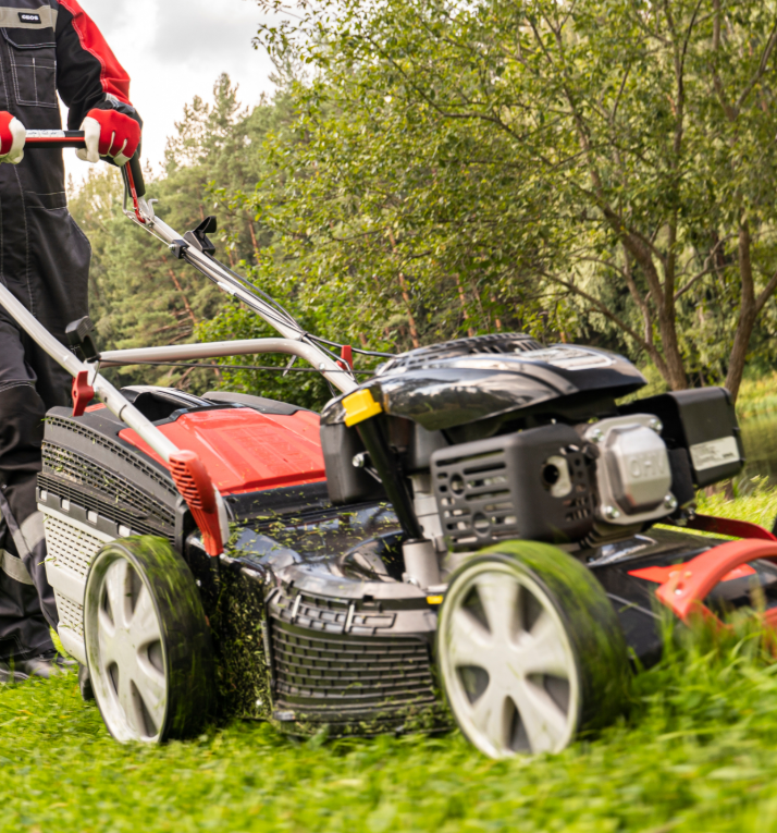 Что лучше: газонокосилка или триммер?