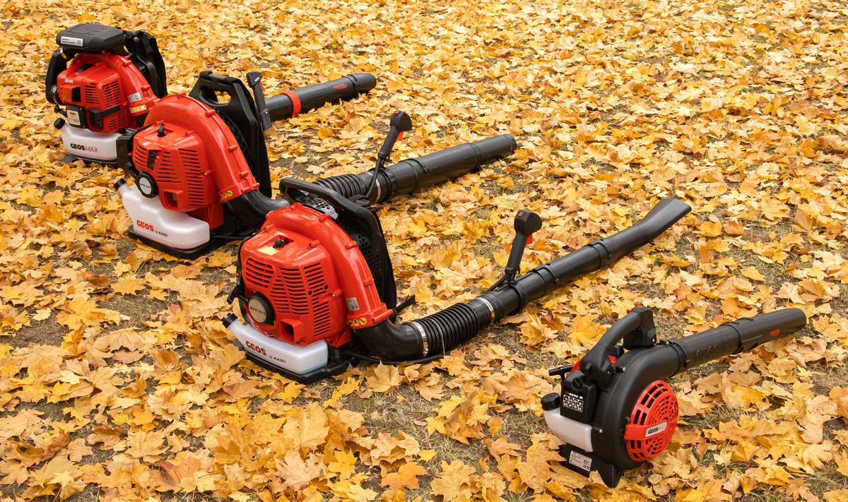 Почему листья нельзя оставлять на газоне?